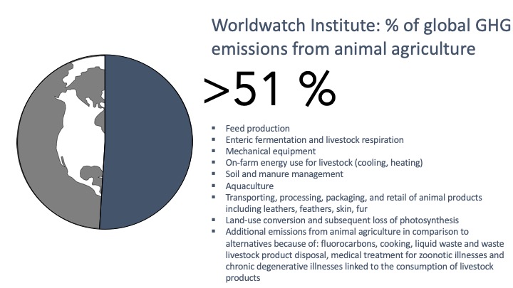 51percentclimatechange